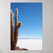 Giante cactus op het poster Salar de Uyuni (Voorkant)
