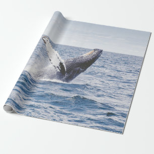 Giante walvis springt uit zee cadeaupapier