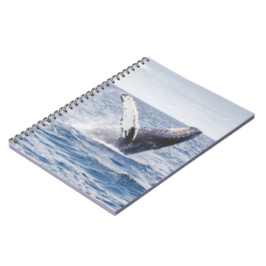 Giante walvis springt uit zee notitieboek (Linkerzijde)