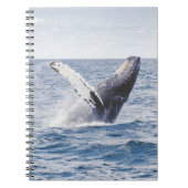 Giante walvis springt uit zee notitieboek (Voorkant)