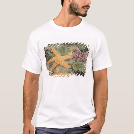 Giantgroene anemonen en ochre zeeen sterren t-shirt (Voorkant)