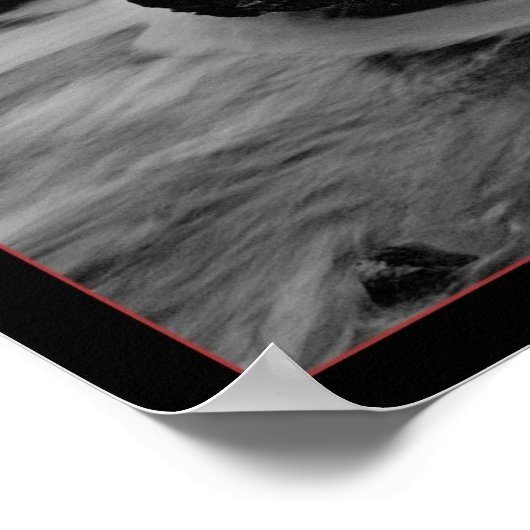 Giants Causeway B&W Poster (Hoek)