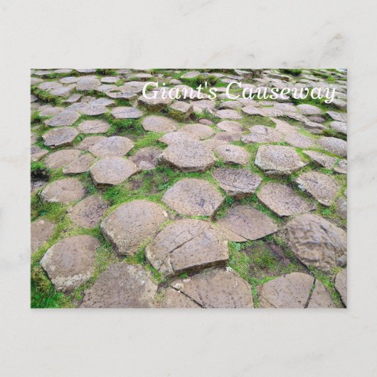 Giant's Causeway Briefkaart (Voorkant)