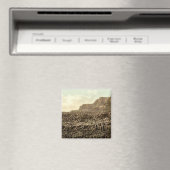 Giant's Causeway, County Antrim Magneet (Insitu (Vaatwasser))