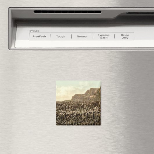 Giant's Causeway, County Antrim Magneet (Insitu (Vaatwasser))