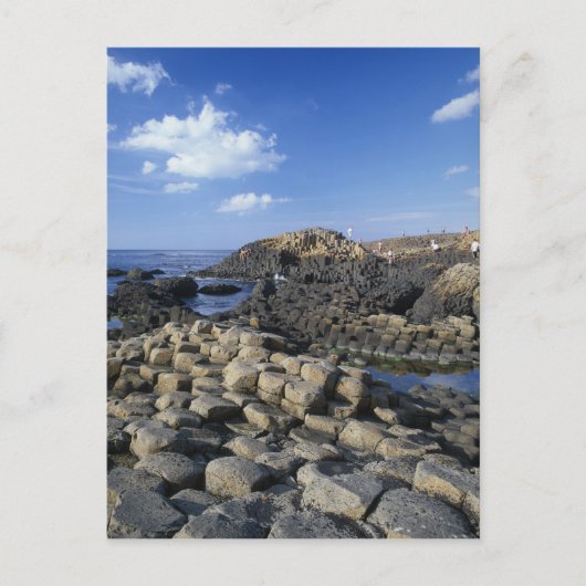 Giants Causeway, County Antrim, Northern Briefkaart (Voorkant)