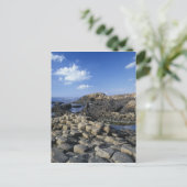 Giants Causeway, County Antrim, Northern Briefkaart (Staand voorkant)