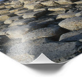 Giants Causeway, County Antrim, Northern Foto Afdruk (Hoek)