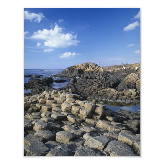 Giants Causeway, County Antrim, Northern Foto Afdruk (Voorkant)