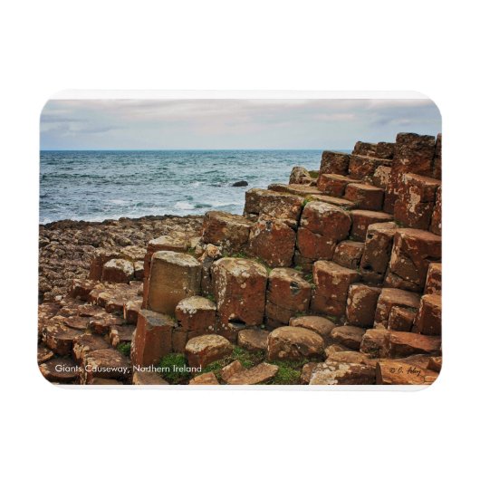 Giants Causeway, Ireland, Flexi Magnet Magneet (Horizontaal)