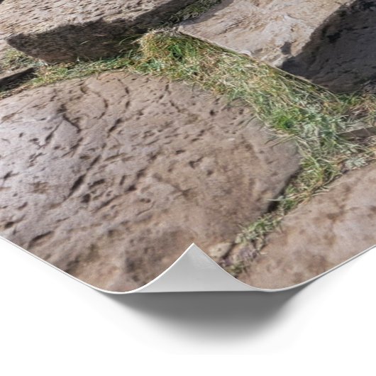 Giants Causeway, Noord-Ierland Poster (Hoek)