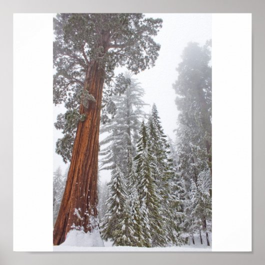 Giants II Poster (Voorkant)