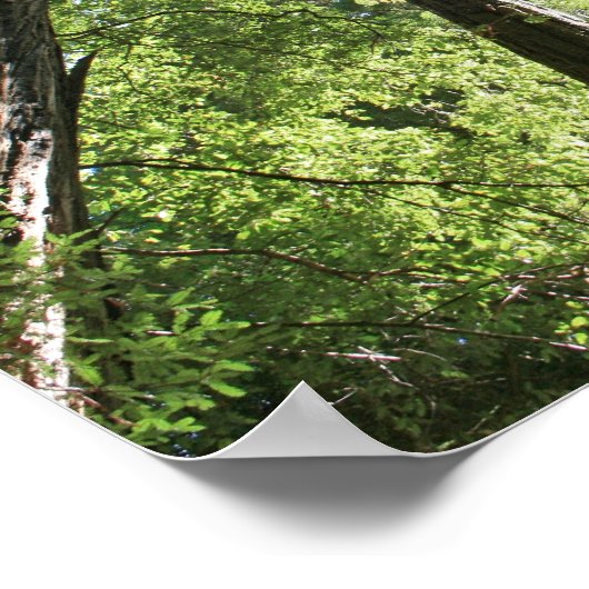 "Giants", Muir Bossen Poster (Hoek)