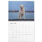 Giantvlotten Kalender (Mar 2027)
