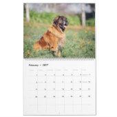 Giantvlotten Kalender (Feb 2027)