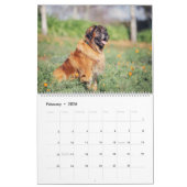 Giantvlotten Kalender (Feb 2026)