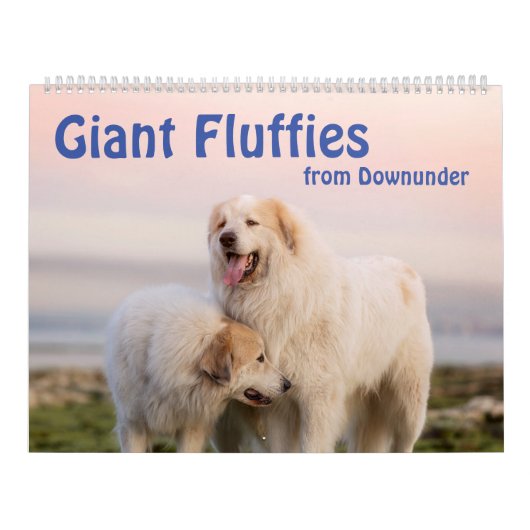 Giantvlotten Kalender (Hoes)