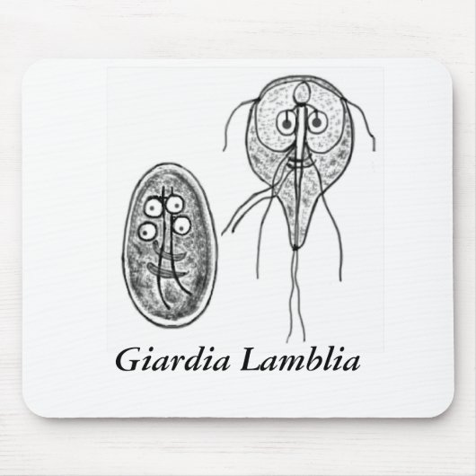 Giardia Lamblia Gov.ai, Giardia Lamblia Muismat (Voorkant)