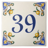 Giardino dei Limoni – House Number Ceramic Tile Tegeltje (Voorkant)