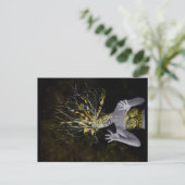 GIAWIL Gold-nummer Briefkaart (Staand voorkant)