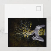 GIAWIL Gold-nummer Briefkaart (Voorkant / Achterkant)