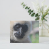 Gibbon Briefkaart (Staand voorkant)
