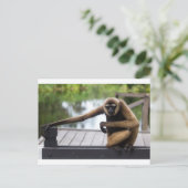 Gibbon Briefkaart (Staand voorkant)