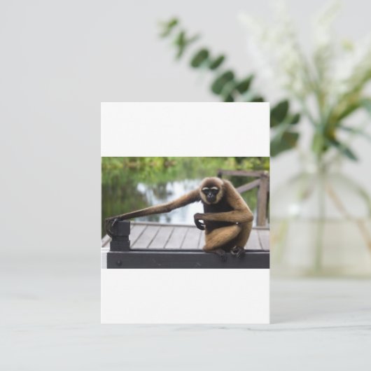 Gibbon Briefkaart (Staand voorkant)
