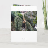 Gibbon,_Just_Chillin,_Greeting_Card. Kaart (Achterkant)