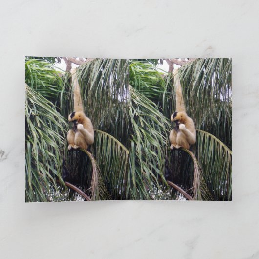 Gibbon,_Just_Chillin,_Greeting_Card. Kaart (Binnen)