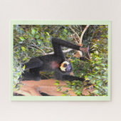 Gibbon Legpuzzel (Horizontaal)