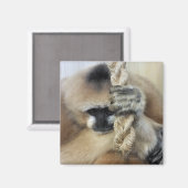 GIBBON MAGNEET (Voorkant / Achterkant)