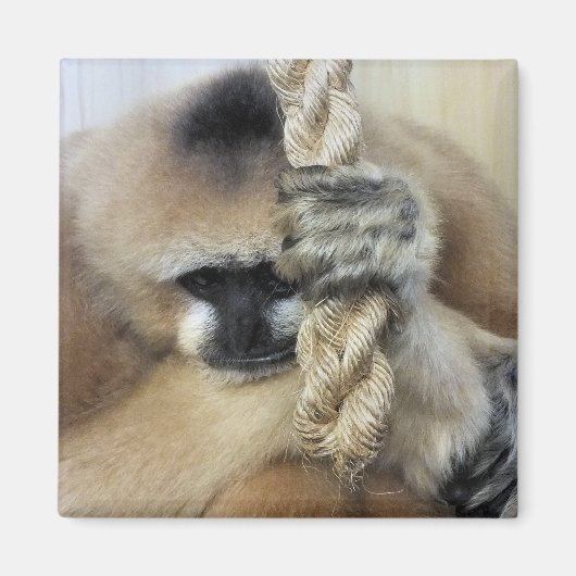 GIBBON MAGNEET (Voorkant)