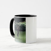 Gibbon Mok (Voorkant links)