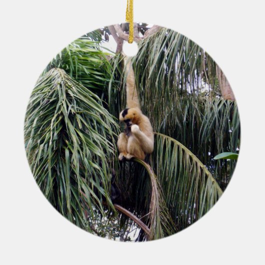 Gibbon Monkey die gewoon rondhangt.. Keramisch Ornament (Achterkant)