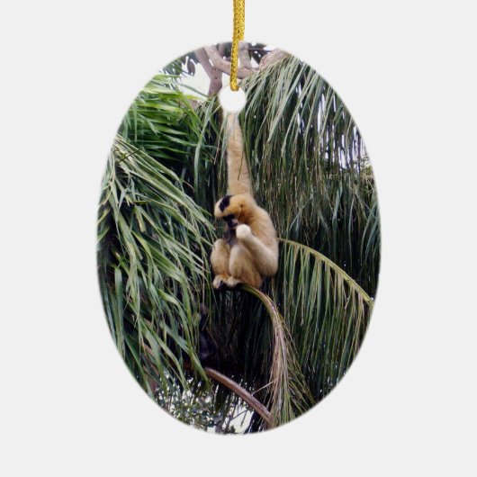 Gibbon Monkey die gewoon rondhangt.. Keramisch Ornament (Voorkant)