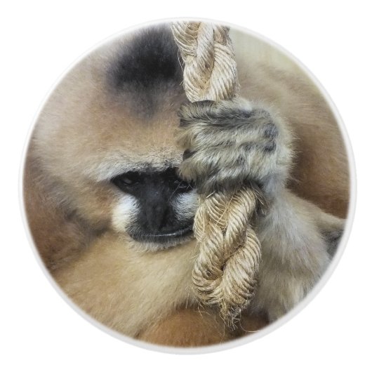 GIBBON MONKEY KERAMISCHE KNOP (Voorkant)