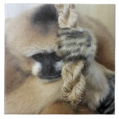 GIBBON MONKEY TEGELTJE (Voorkant)
