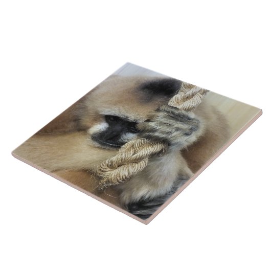 GIBBON MONKEY TEGELTJE (Zijkant)