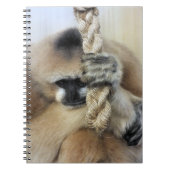 GIBBON NOTITIEBOEK (Voorkant)