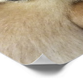 GIBBON POSTER (Hoek)