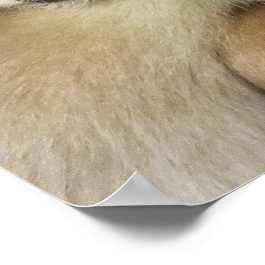 GIBBON POSTER (Hoek)