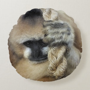 GIBBON ROND KUSSEN
