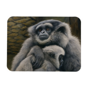 Gibbon Shelter - Emotioneel wildlife portret Magneet