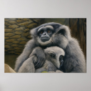 Gibbon Shelter - Emotioneel wildlife portret Poster