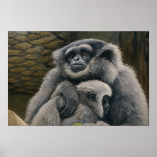 Gibbon Shelter - Emotioneel wildlife portret Poster (Voorkant)