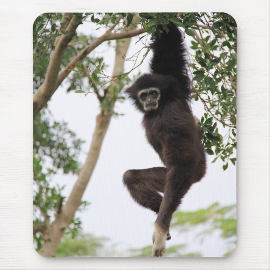 Gibbon Swling from Tree Muismat (Voorkant)