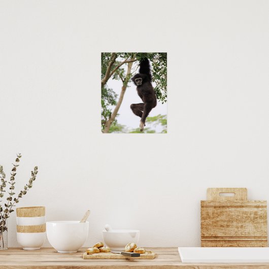 Gibbon Swling from Tree Poster (Keuken)