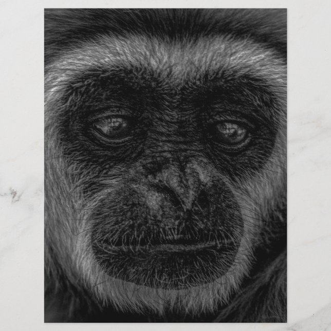 Gibbon wild indonesië mammal (Voorkant)