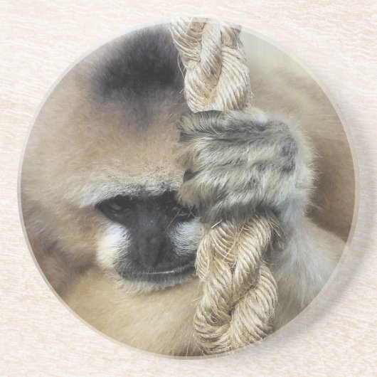 GIBBON ZANDSTEEN ONDERZETTER (Voorkant)